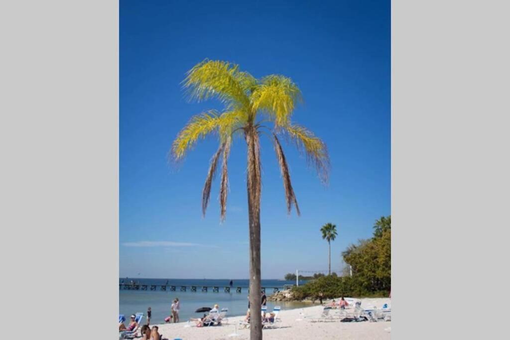 Sea Spray, Studio 114, Beach Steps Away! Pool+Wifi Ръскин Екстериор снимка